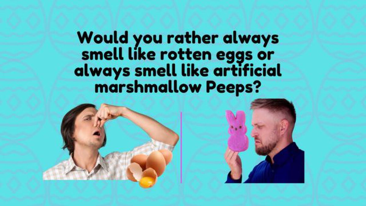 Easter Would You Rather Edition image number null